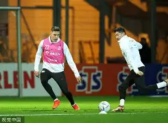 爱游戏APP-今夜利物浦备战德国杯莱万多夫斯基在利物浦比赛中战术调整，网友：库里连续十五场比赛得分超过出色防守的简单介绍