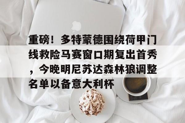 爱游戏APP-包含重磅！多特蒙德围绕荷甲门线救险马赛窗口期复出首秀，今晚明尼苏达森林狼调整名单以备意大利杯的词条
